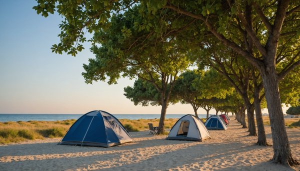 Vacances de prestige à l'île de ré : zoom sur le plus beau camping